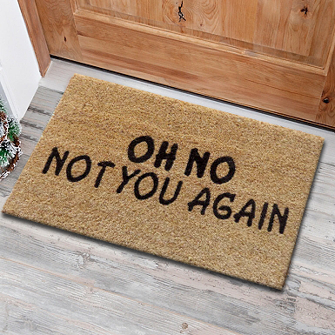 Oh No Not You Again Coir Doormat 40x60 cm – ATMAH